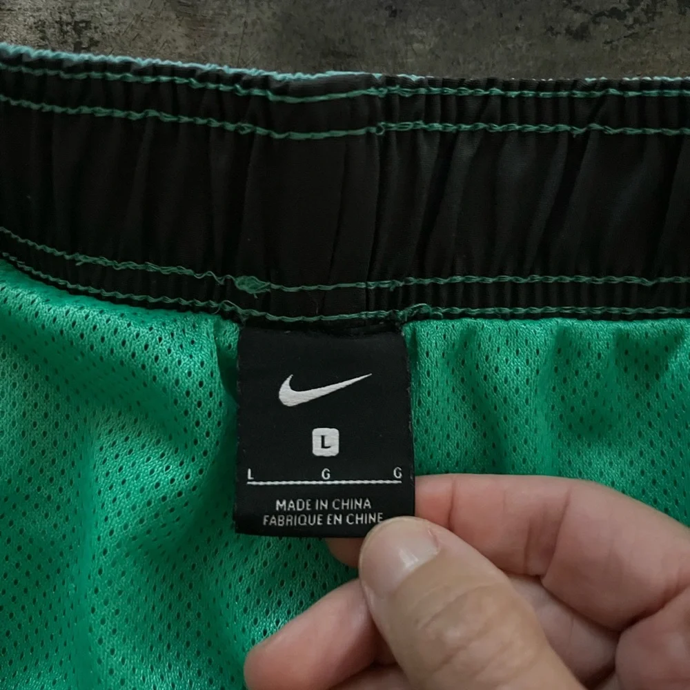 Nike Swim Trunks size Large